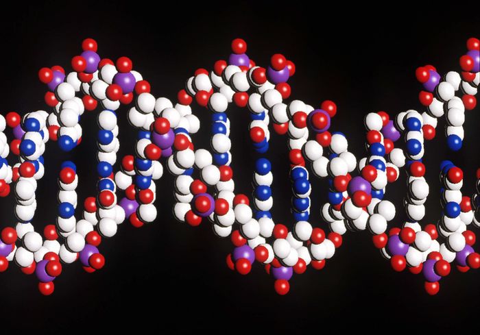 Farmaci, è nel Dna la 'chiave' per evitare eventi avversi