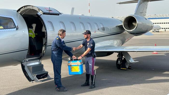 Tripla donazione internazionale a catena, è la prima volta al mondo