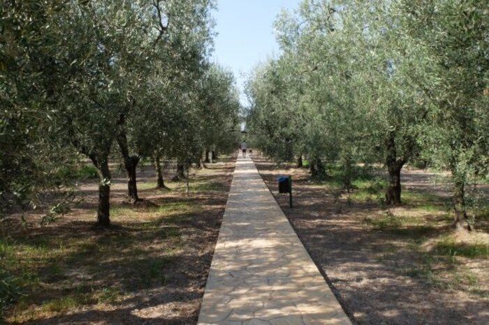 Al Gemelli di Roma nasce il Giardino dei Semplici