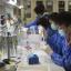 Cina, identificato nuovo virus, 35 persone infettate dal 2018